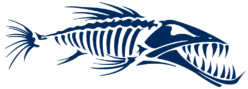 Barracuda Patrol